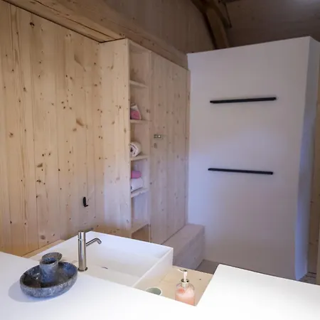 Apartment Chasa Chaposch Tarasp